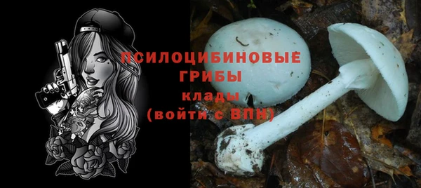 герыч Зерноград