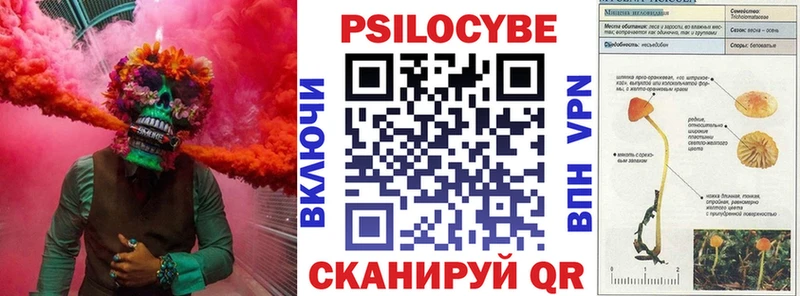 Галлюциногенные грибы мухоморы  Купить закладки  Мураши 