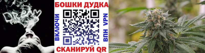 Купить где  Мураши  Каннабис SATIVA & INDICA 